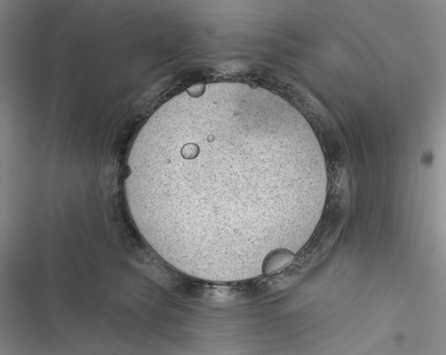 X0000116890565201001121346