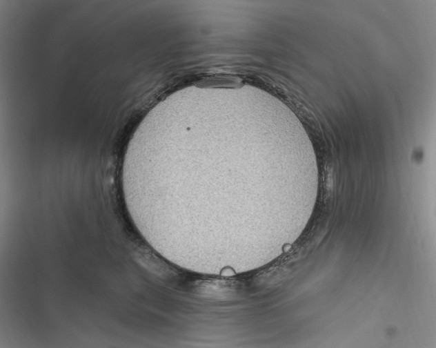 X0000116890567201001121346