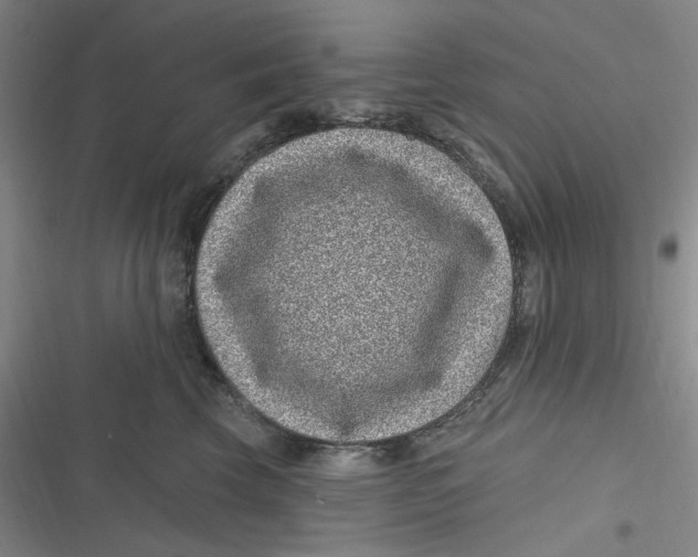 X0000116890569201001121346