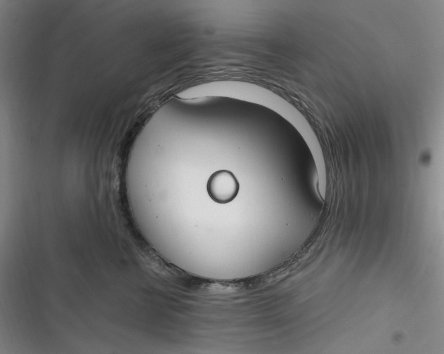 X0000116890570201001121346