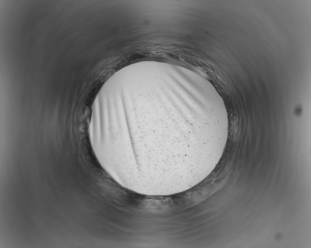 X0000116890571201001121346