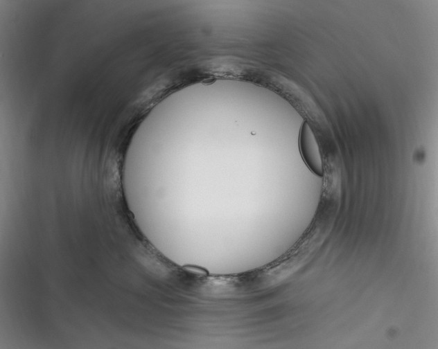 X0000116890573201001121346