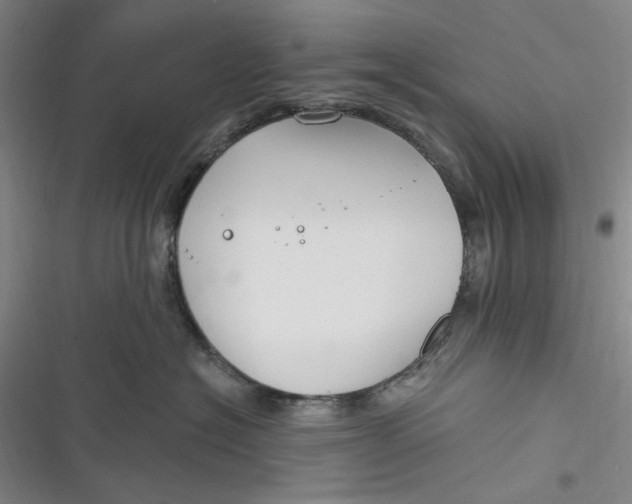 X0000116890574201001121346