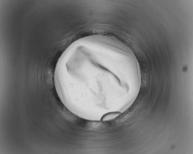 X0000116890575201001121346