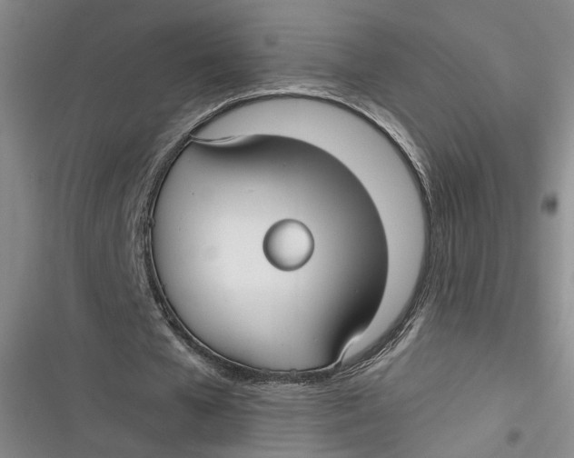 X0000116890577201001121345