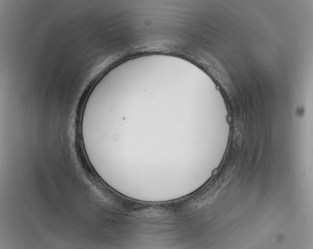 X0000116890578201001121345