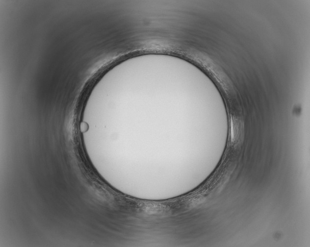 X0000116890579201001121345