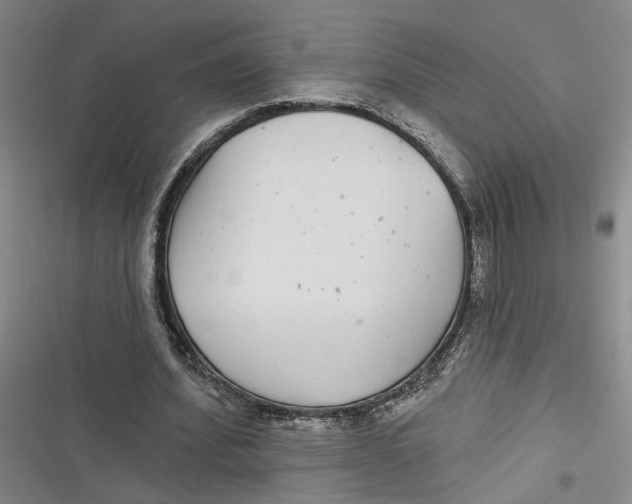 X0000116890580201001121345