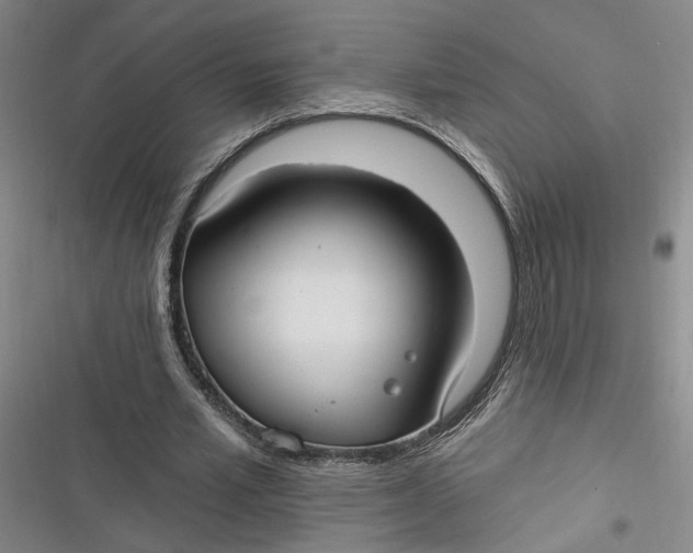 X0000116890581201001121345