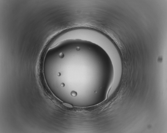 X0000116890583201001121345