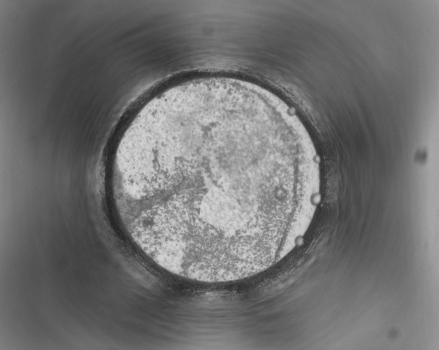 X0000116890584201001121345