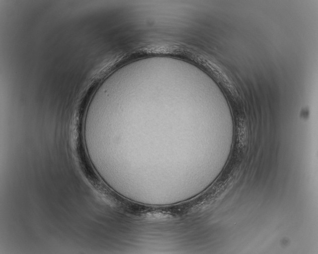 X0000116890586201001121345