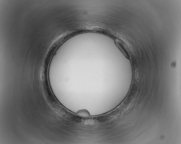 X0000116890587201001121345