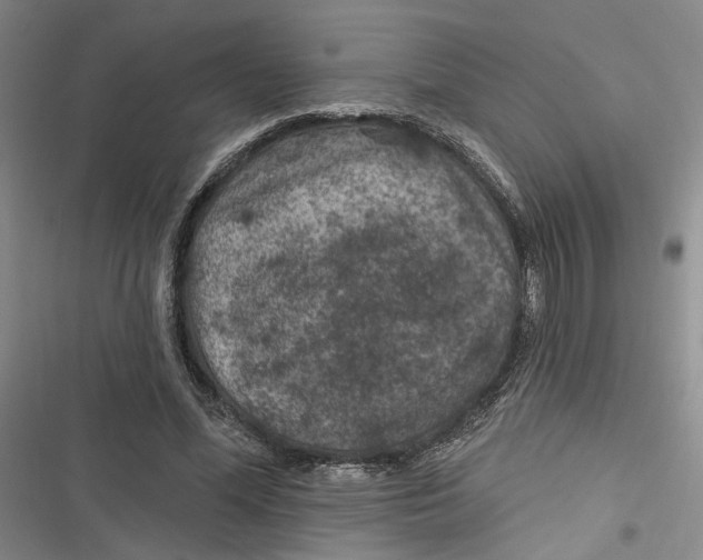 X0000116890588201001121345