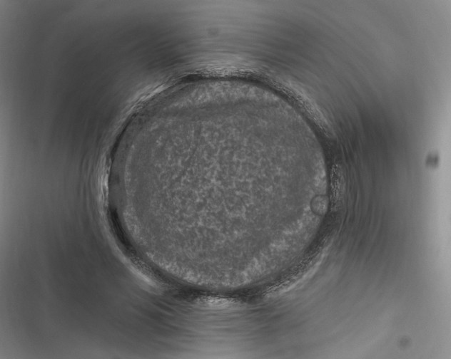 X0000116890590201001121345