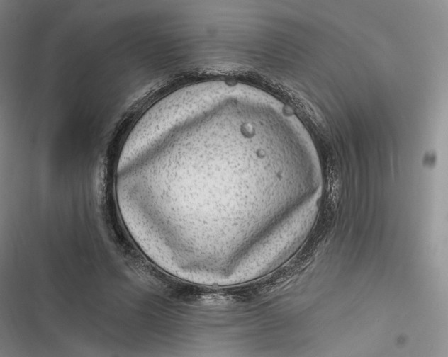 X0000116890591201001121345