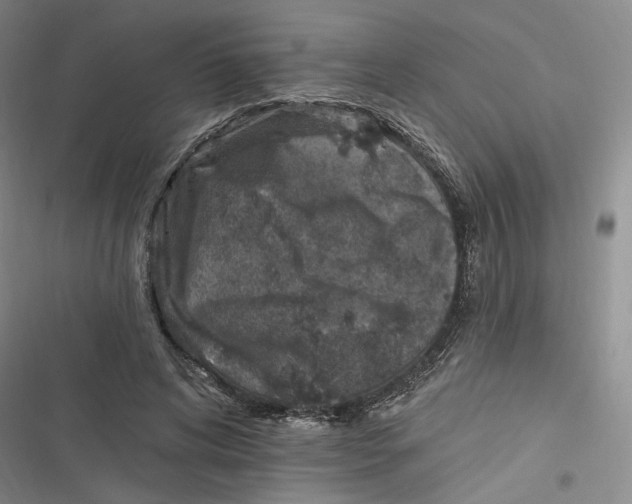 X0000116890592201001121345