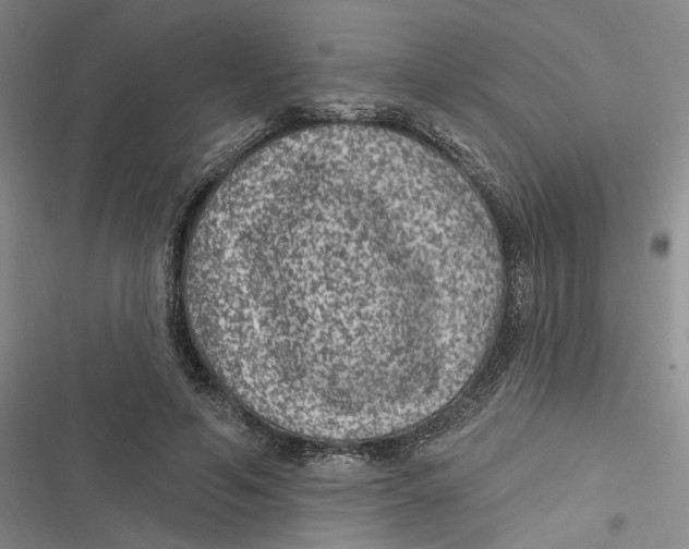 X0000116890594201001121345