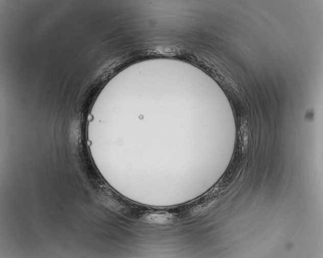 X0000116890595201001121345