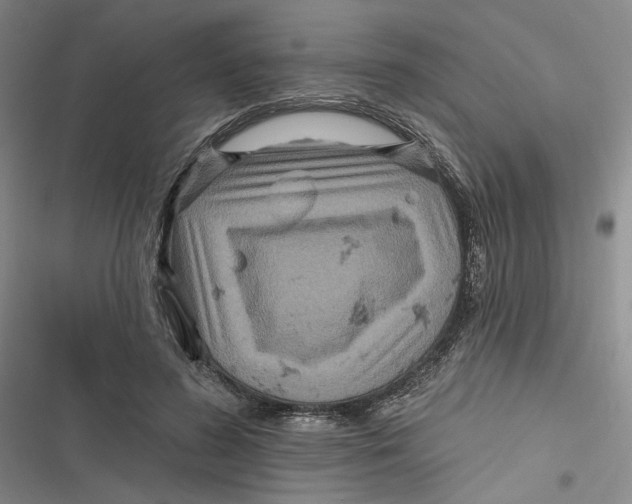 X0000116890596201001121345