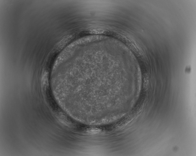 X0000116890598201001121345