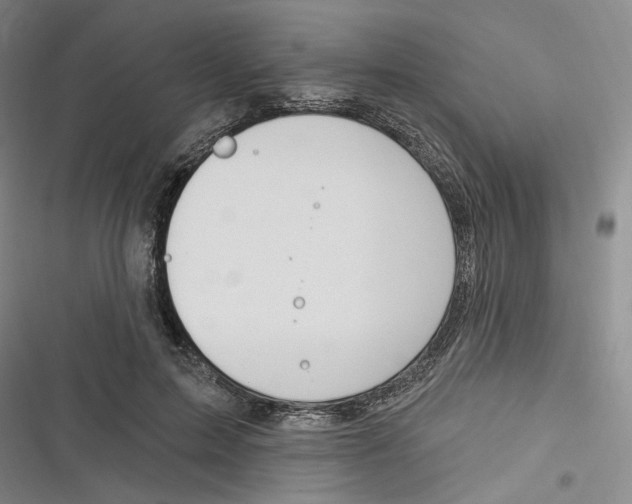 X0000116890599201001121345