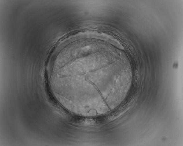 X0000116890600201001121345