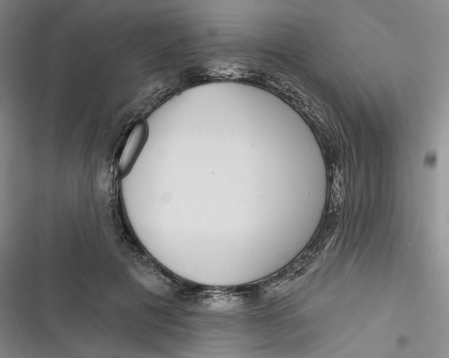 X0000116890601201001121345