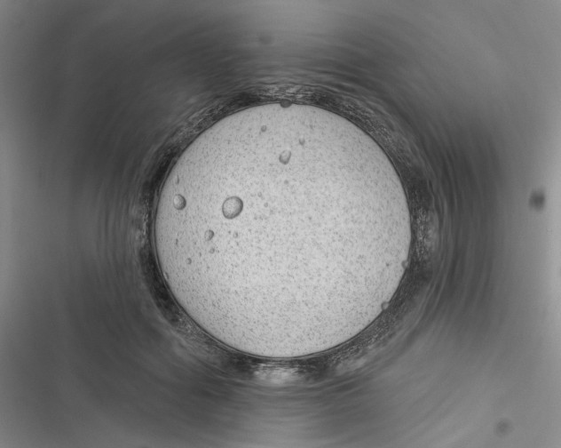 X0000116890602201001121345