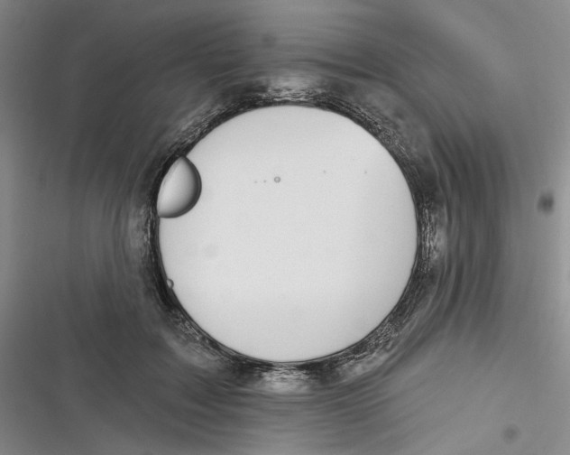 X0000116890603201001121345