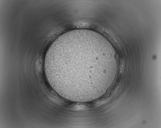 X0000116890604201001121345