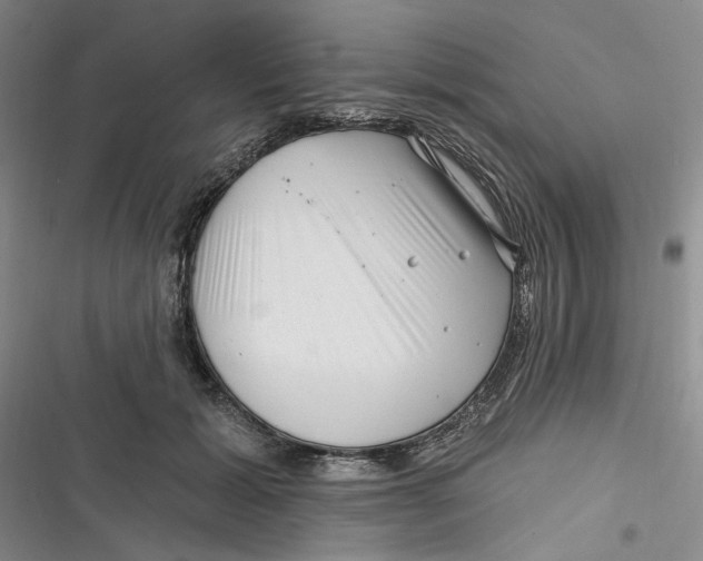 X0000116890605201001121345