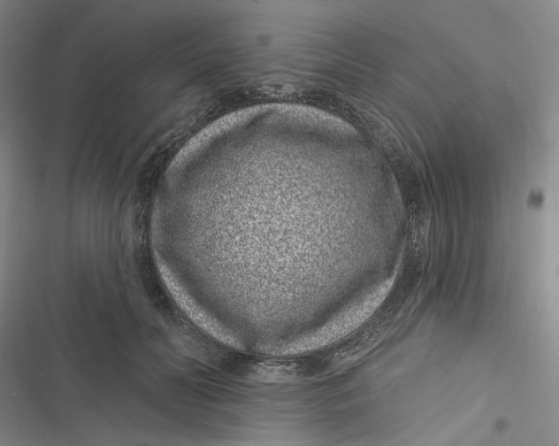 X0000116890606201001121345