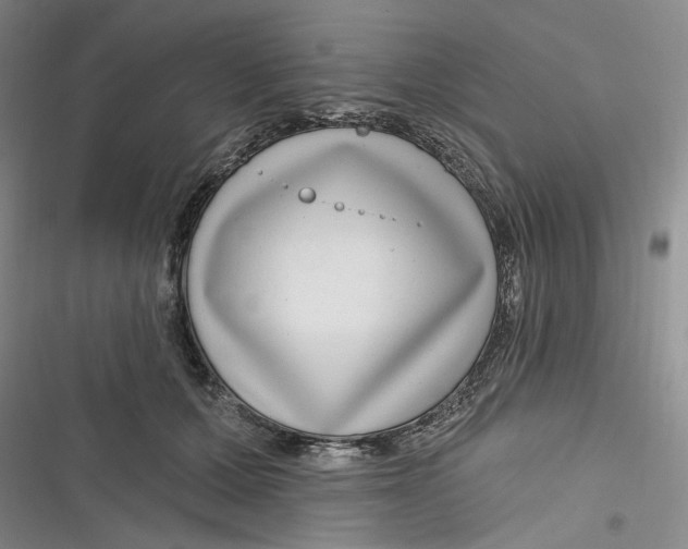 X0000116890607201001121345