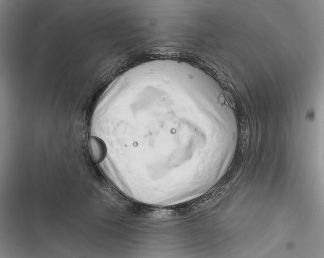 X0000116890609201001121345