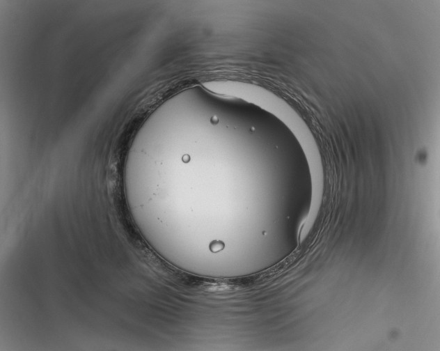 X0000116890611201001121345