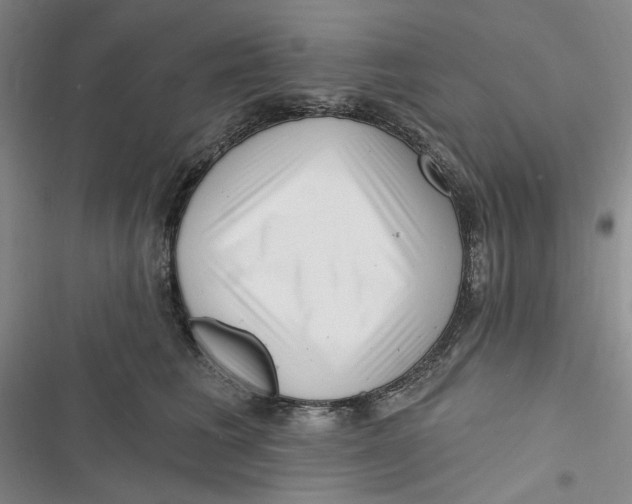 X0000116890613201001121345