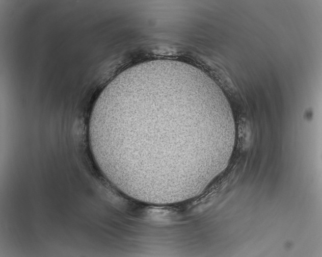 X0000116890614201001121345