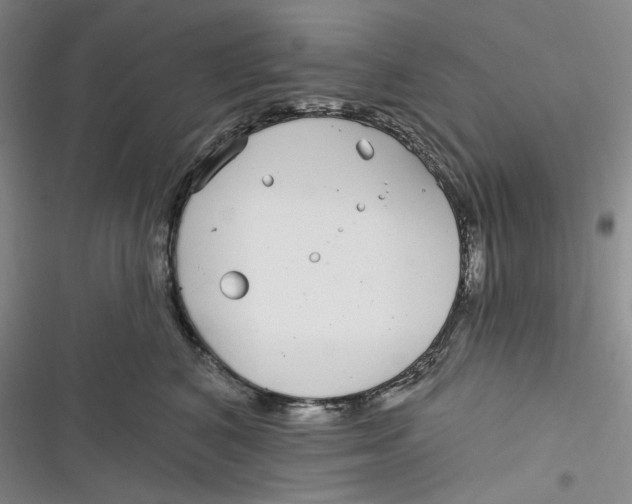 X0000116890616201001121345