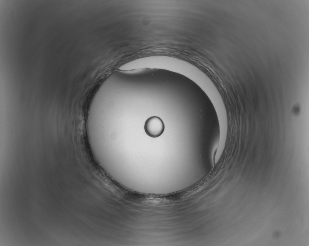 X0000116890617201001121345