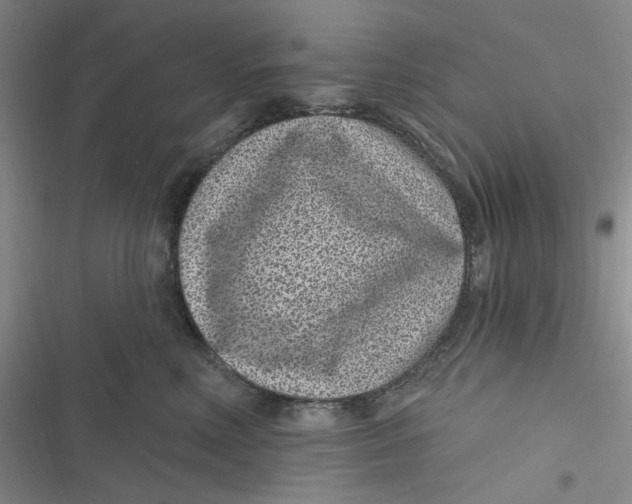 X0000116890618201001121345