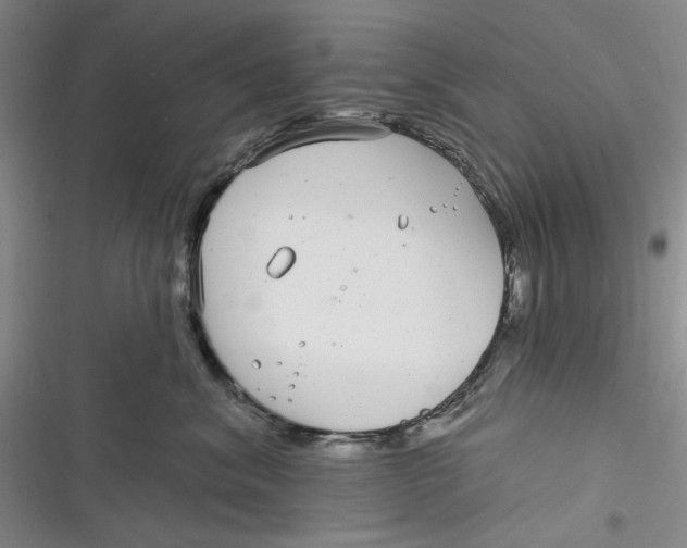 X0000116890620201001121345