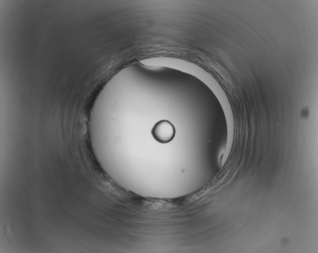 X0000116890621201001121345