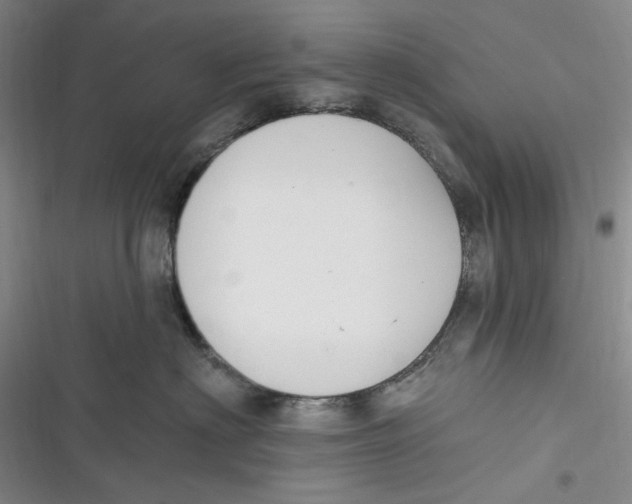 X0000116890622201001121345