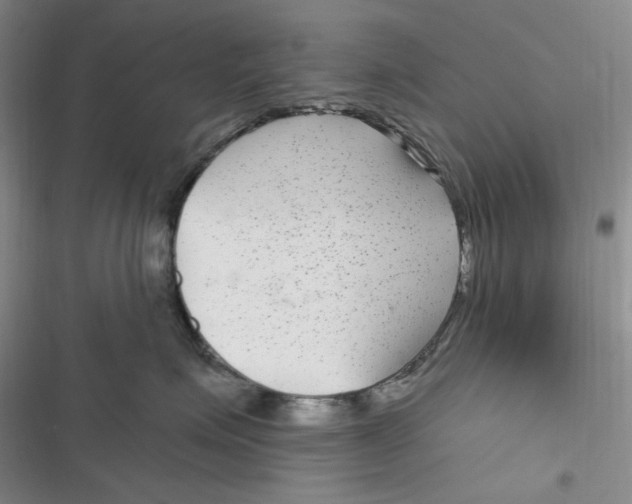 X0000116890623201001121345