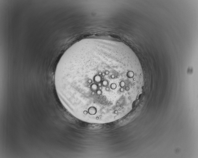 X0000116890624201001121345