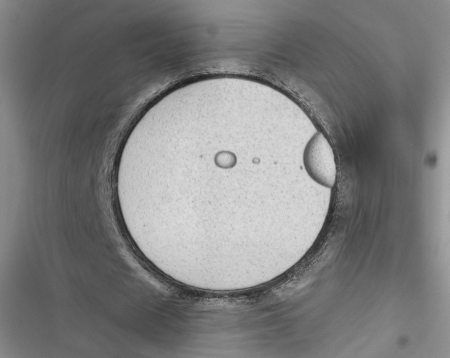 X0000116890625201001121344