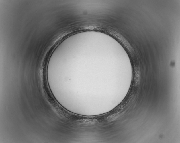 X0000116890626201001121344