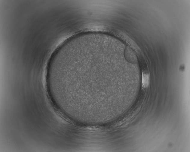 X0000116890627201001121344