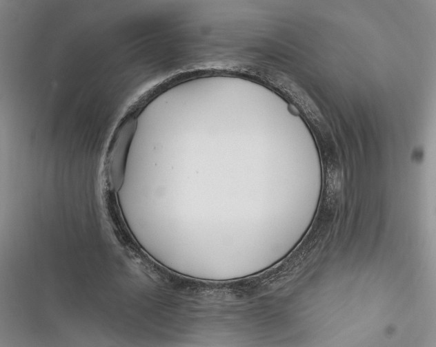 X0000116890628201001121344